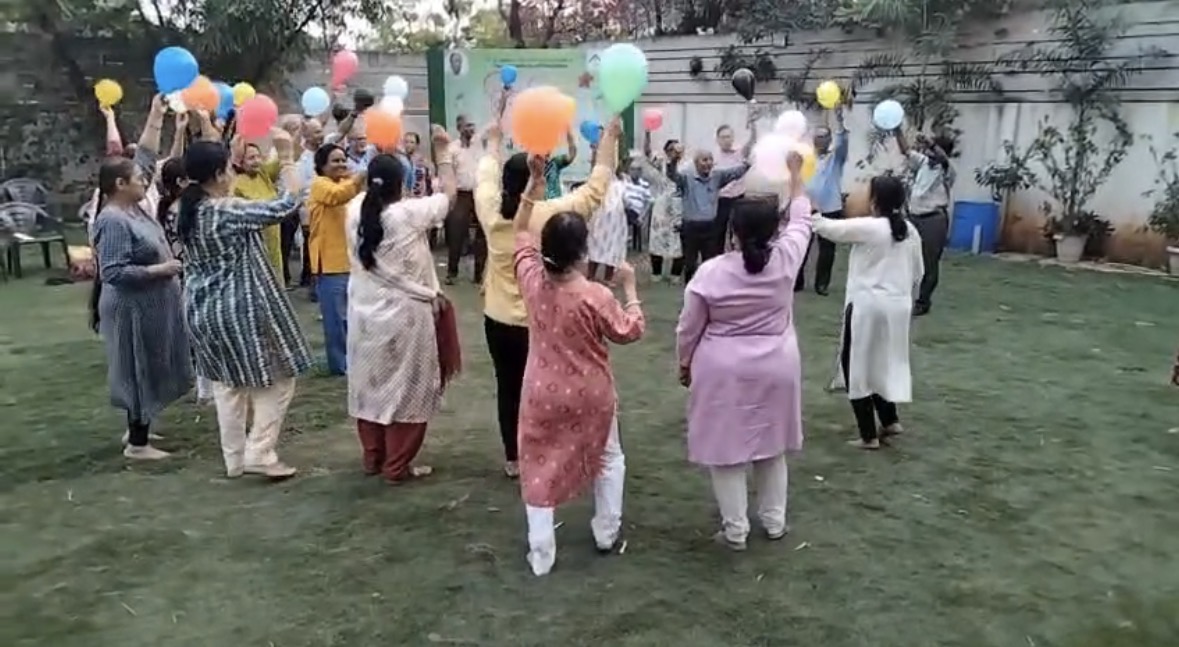 Fun games on the lawn